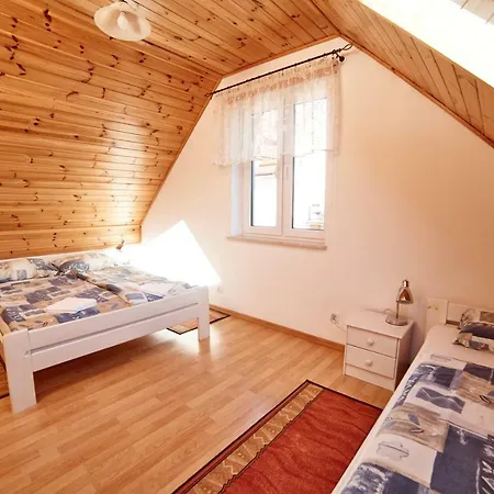 Camping Lesny 51
