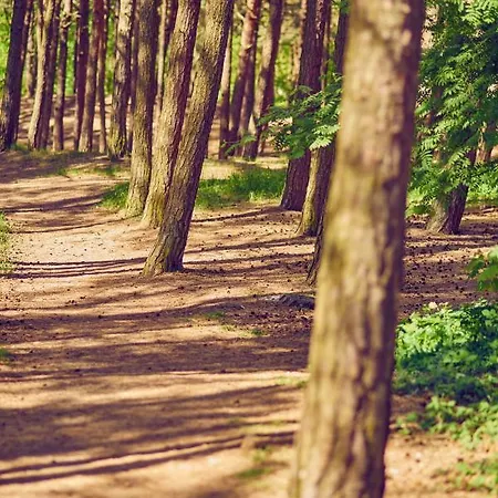 Camping Lesny 51 Дом отдыха *