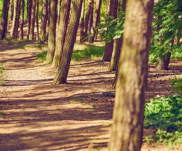 Camping Lesny 51 Nyaraló *